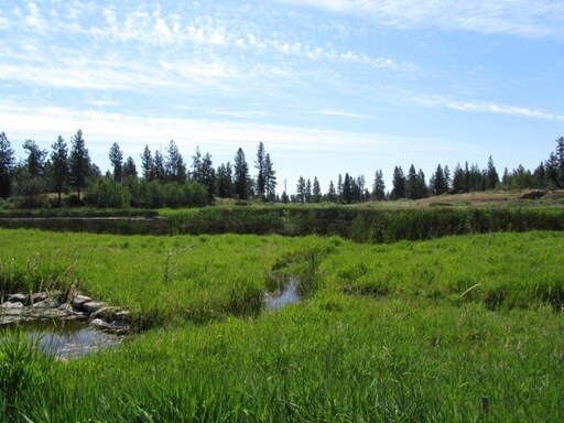 Fotografía del edificio - 169 S Alki Ln