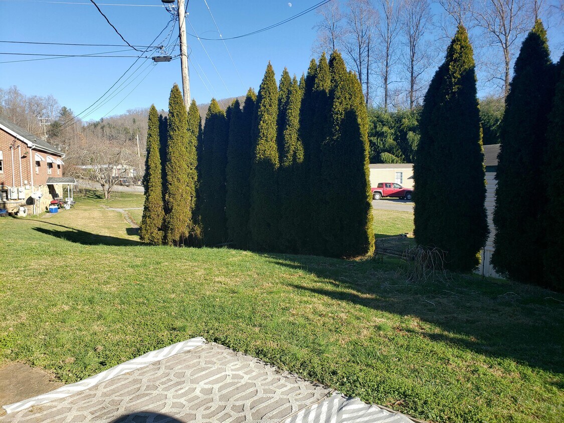 Foto principal - 834 Cope Creek Rd