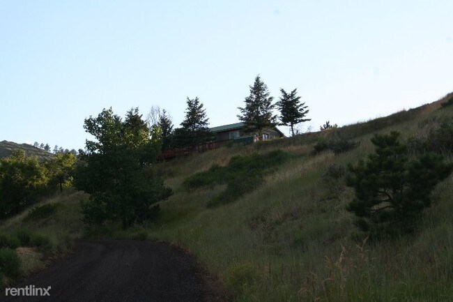 Building Photo - 1 br, 1 bath House - near Lory State Park