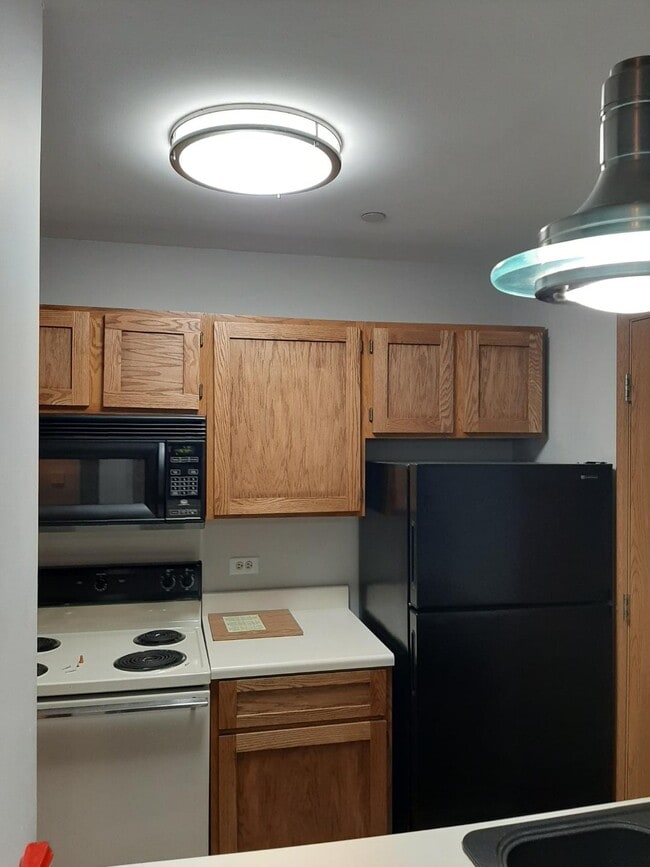 Building Photo - 1375 Cunat Ct