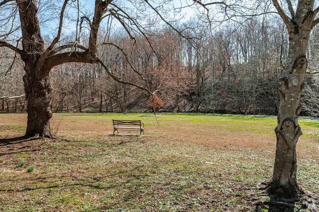 Cherokee Park is located on the edge of the Cherokee Triangle neighborhood.