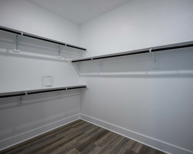 Amavi Celina Houses for Rent Celina, TX