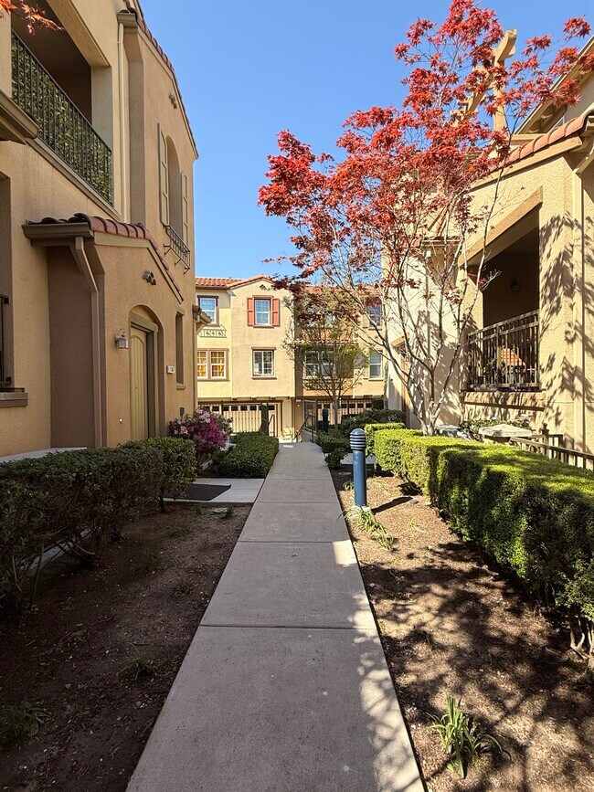 Vista frontal 2 - 677 Luz del Sol Loop