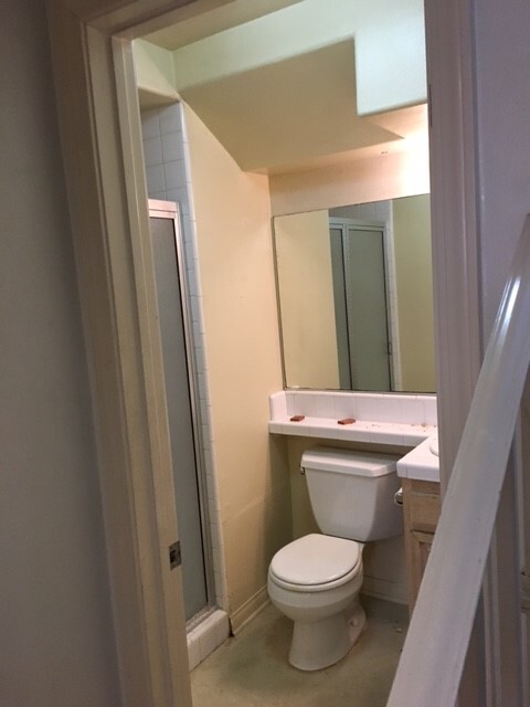 bathroom - 123 W Palm Ave