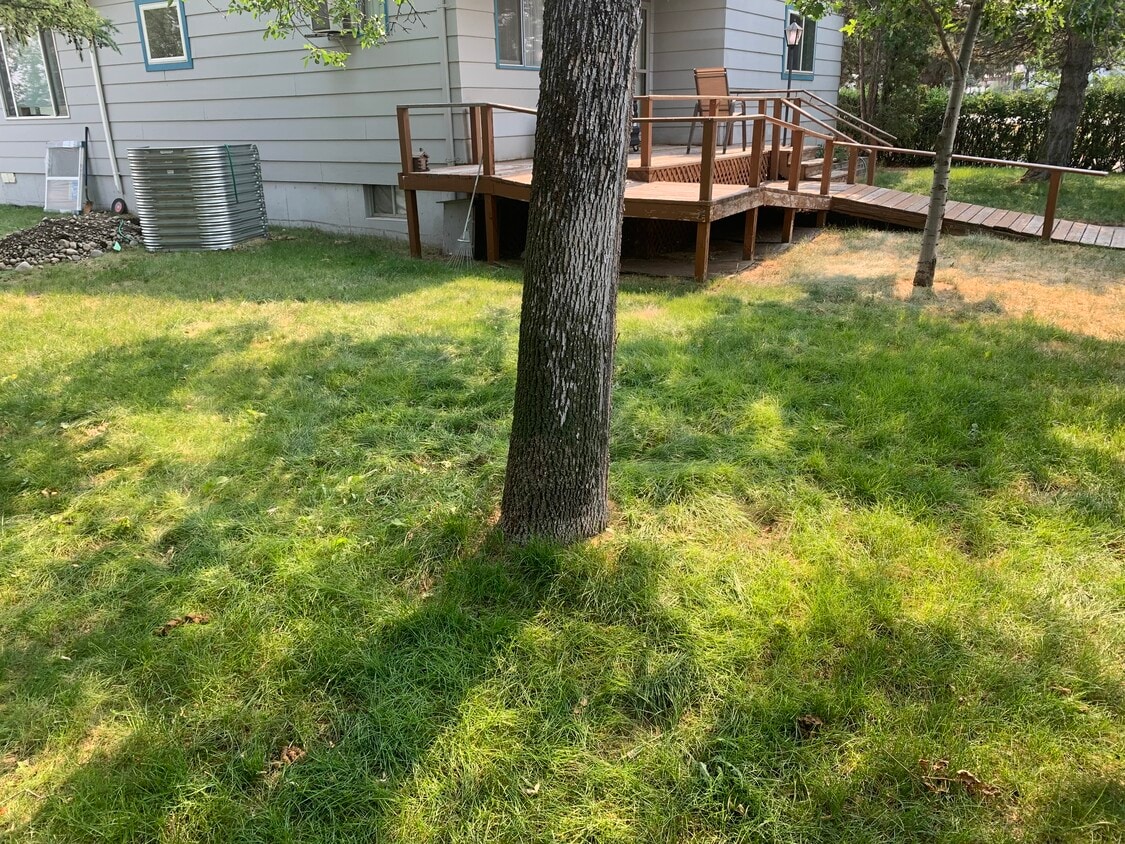 Shared Front Yard - 303 E Gallatin Ave