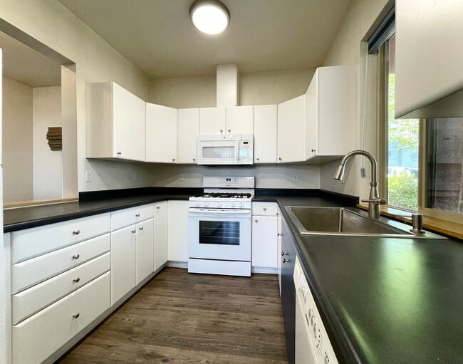 Kitchen - 155 University Ter