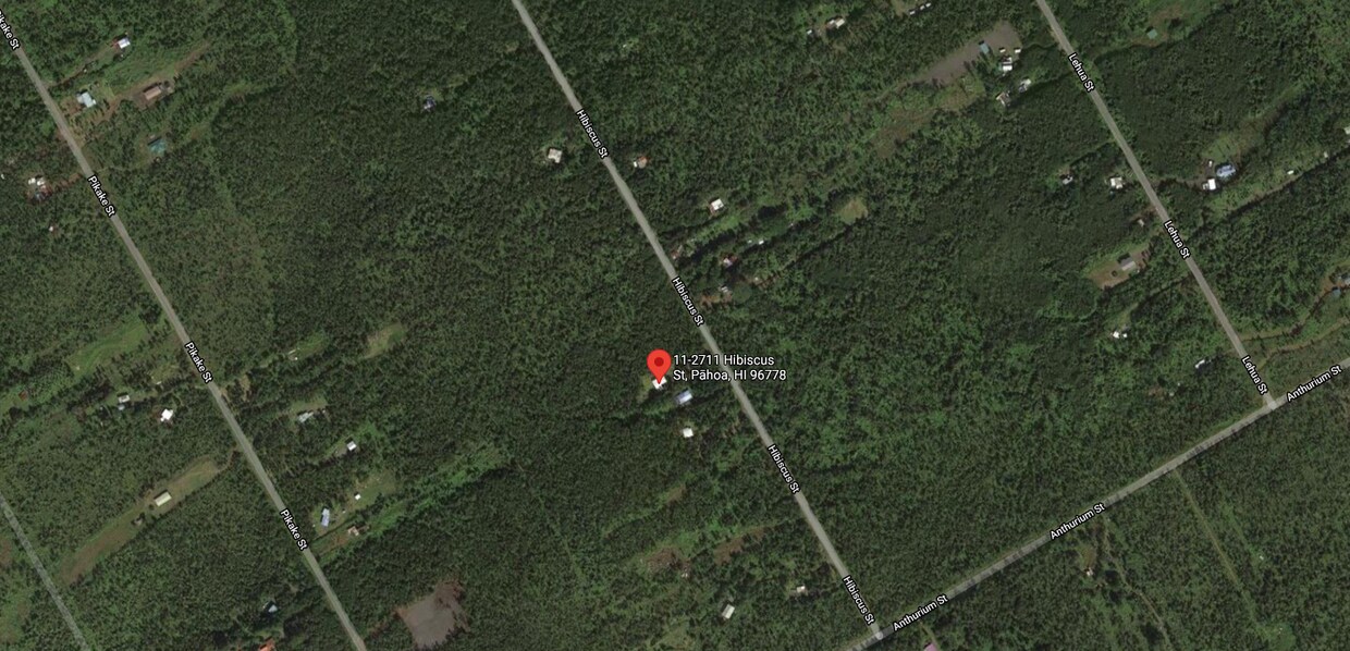 1.1.035.078// Hibiscus St, Mountain View, HI 96771 House Rental in