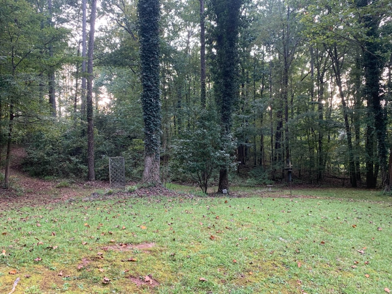 Photo - 4251 Mink Livsey Rd (Snellville, GA)