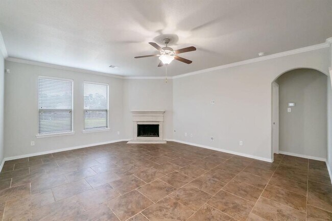 Building Photo - 38 Black Swan Ct