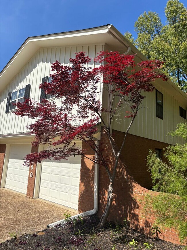 Foto del edificio - 8280 Chippingham Dr