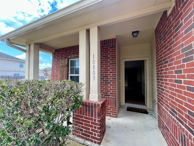 Building Photo - 10803 Woodwind Shadows Dr