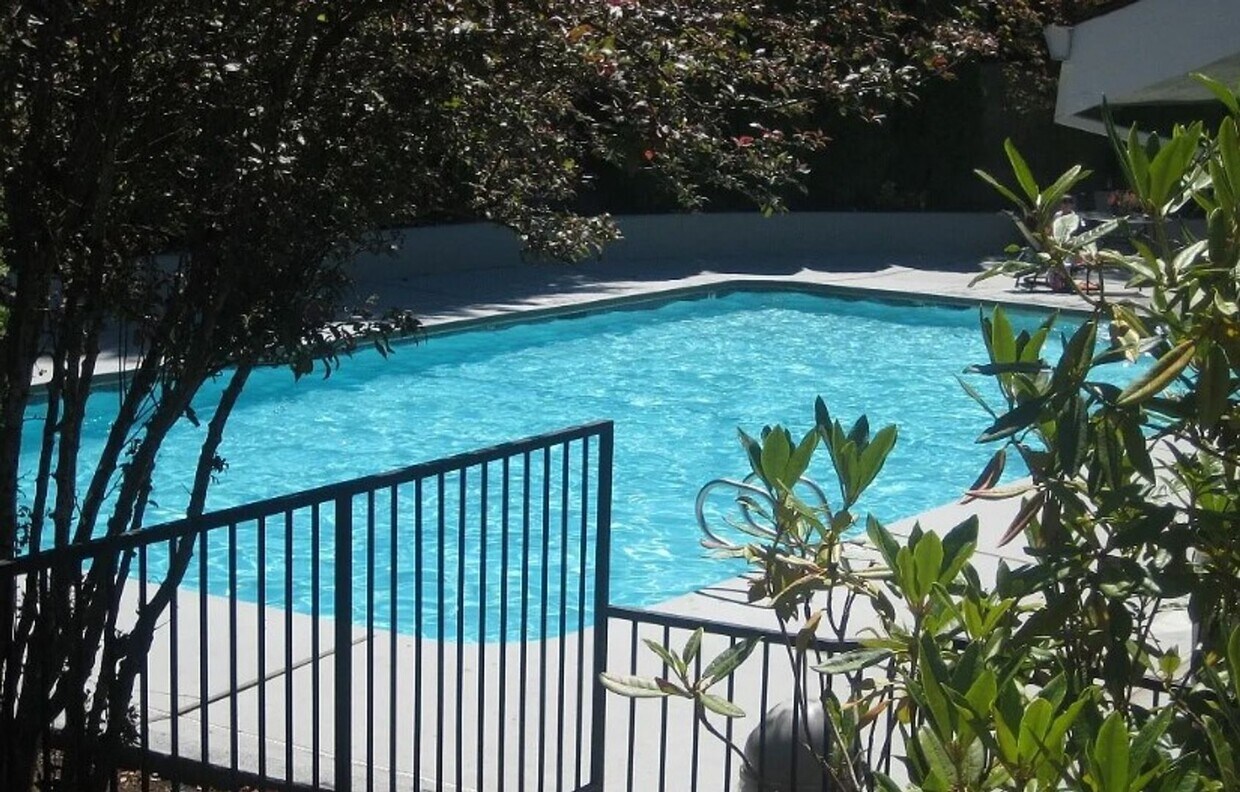 Foto del edificio - Charming 2BD* 1BTH* Condo Minutes From Cla...