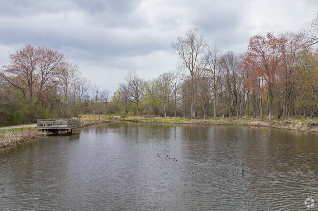 Pond at the center of Albert A. White Memorial Park in East Lansing.