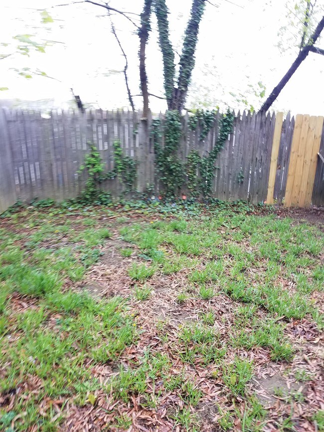 Foto del edificio - 8 Paynter Dr