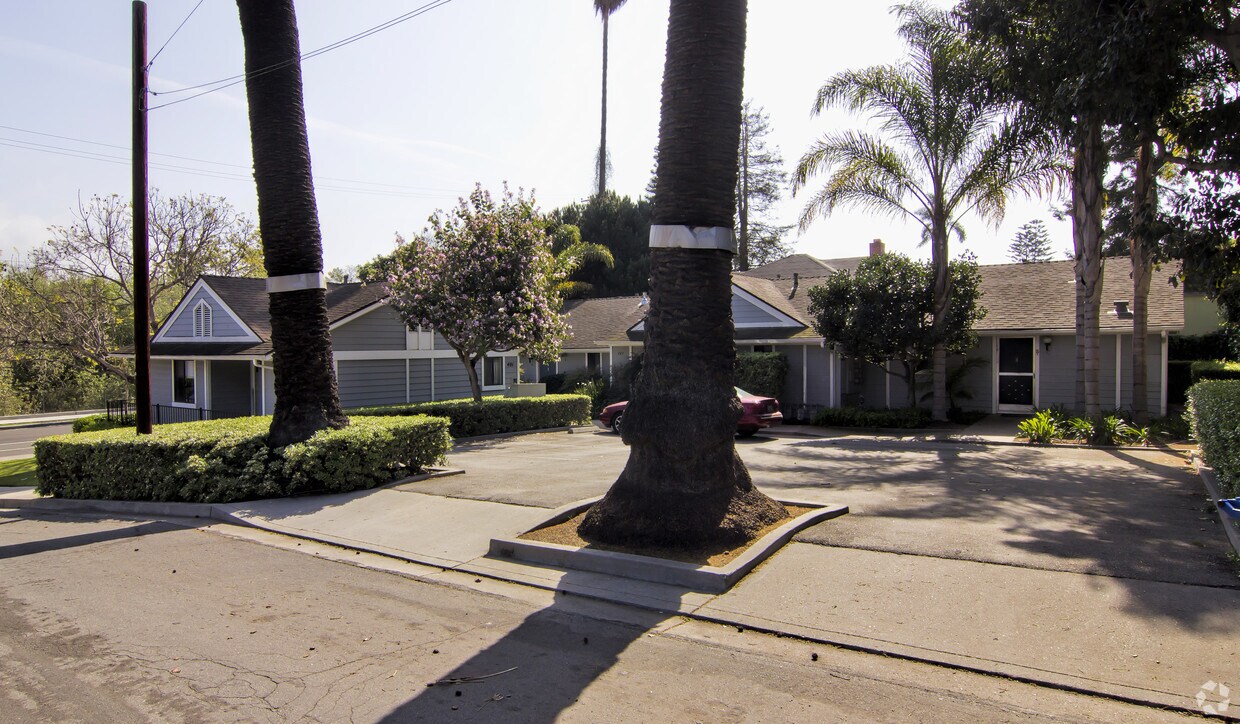 Primary Photo - Castillo Court