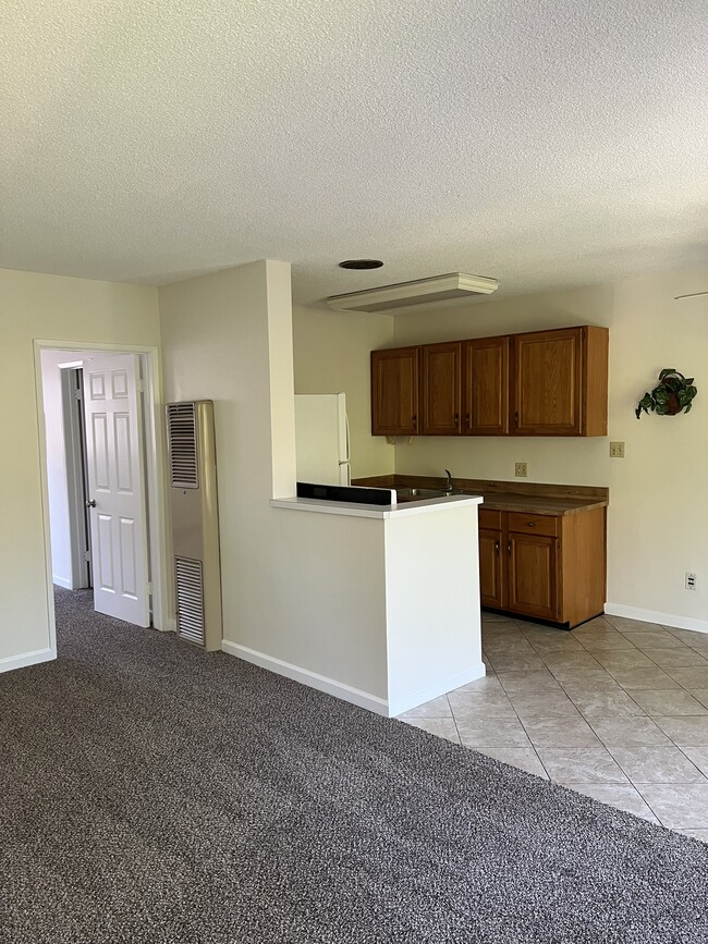 kitchen/living area - 2306 E Commonwealth Ave