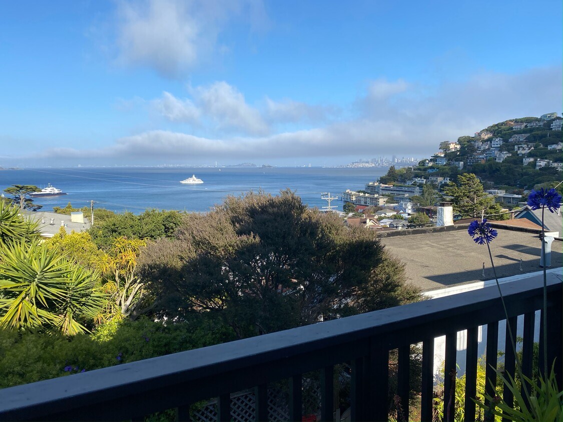 6 West Ct Unit B, Sausalito, CA 94965 Condo for Rent in Sausalito, CA