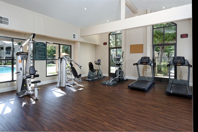 Fitness Center - Estancia