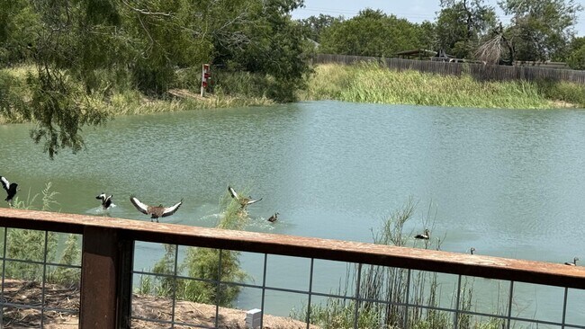 Foto del edificio - 704 Onyx Dr