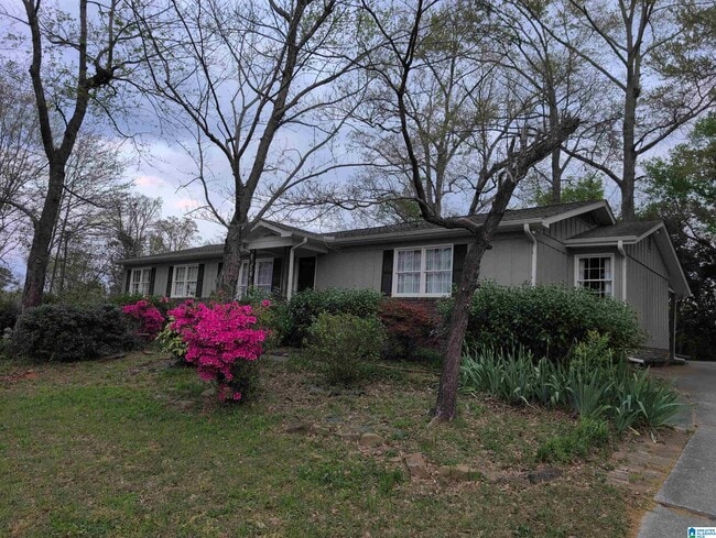 Building Photo - 3000 Dolly Ridge Dr