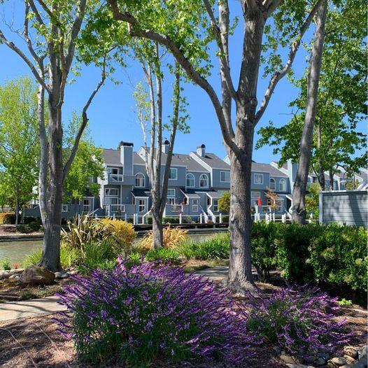 Foto principal - 820 Boardwalk Pl