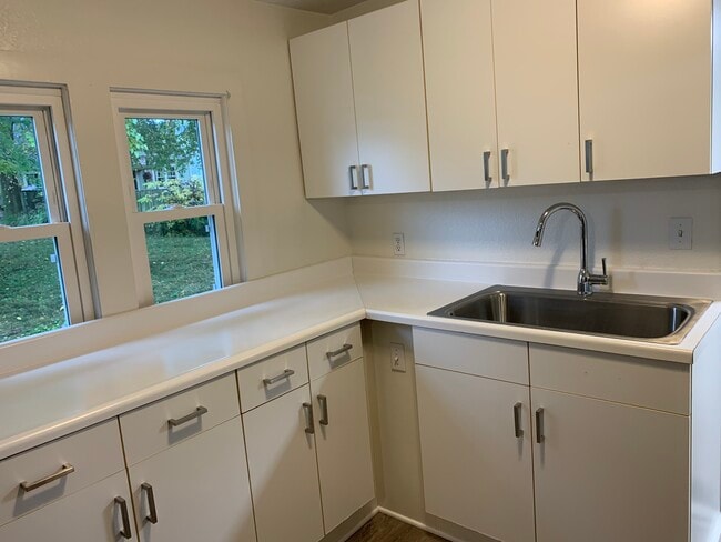NEW kitchen sink with pull down sprayer - 18 S 21st St
