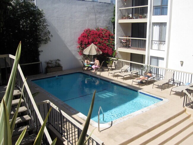Community Pool - 906 N Doheny Dr