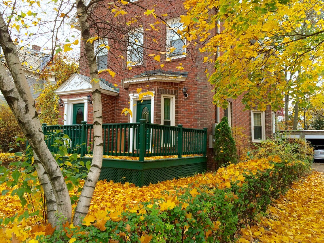 Primary Photo - 28 Forest St