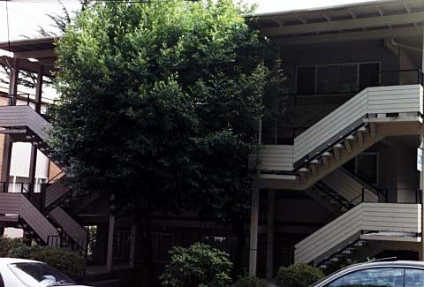 Foto principal - Tanya Lynn Apartments - 2 bedrooms