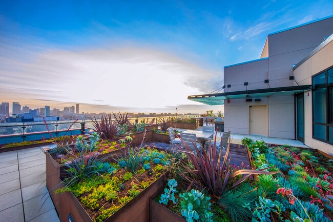 En la azotea con vista del centro de la ciudad de San Francisco desde OLUME Apartments. - Olume