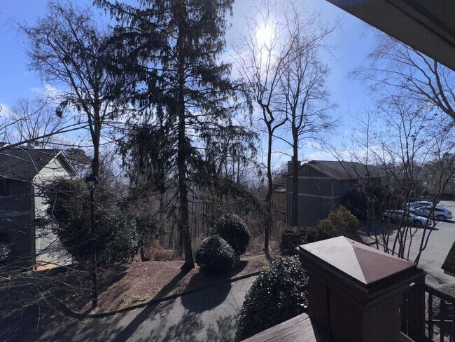 Building Photo - Central AVL Condo - Huge Deck, Views and Community Pool