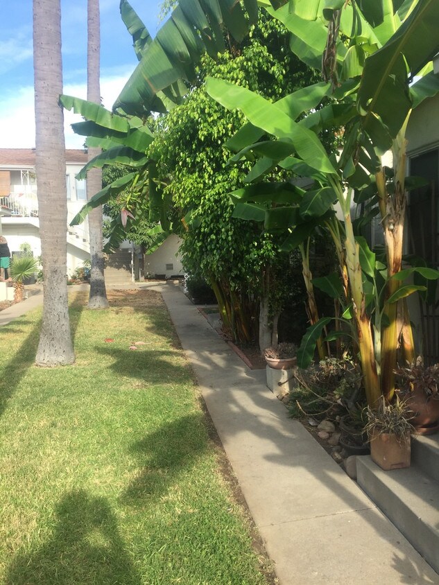 North Park Condo for Rent in San Diego, CA