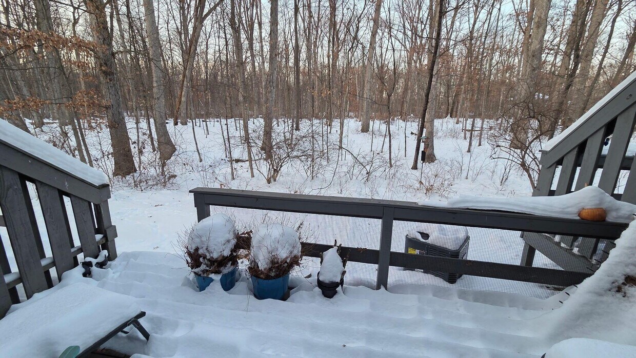 Foto del edificio - 5388 Flintstone Dr