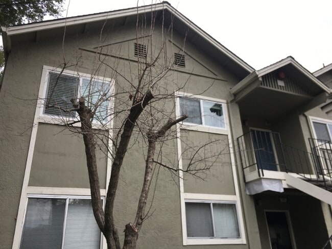 Building Photo - 776 Santa Alicia Dr