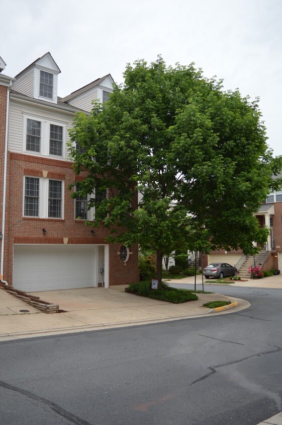 20863 Cosworth Terrace, Potomac Falls, VA 20165 Townhouse for Rent in
