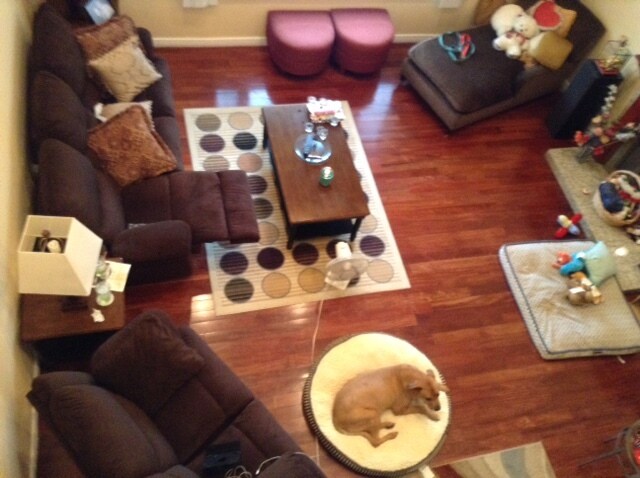 Foto del edificio - 1711 E Warrenton Ave