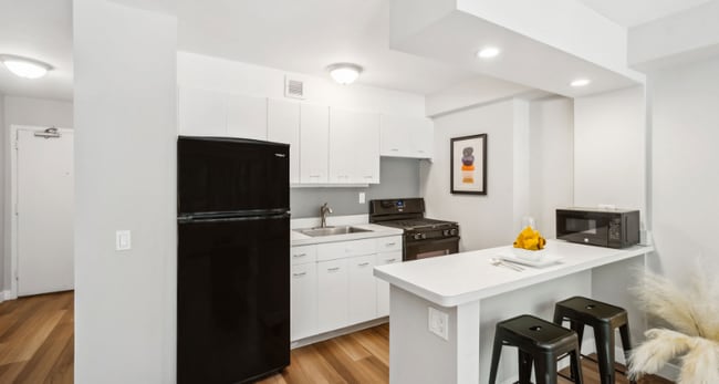 Photo - 1355 N Lake Shore Dr (Chicago, IL) Apartment