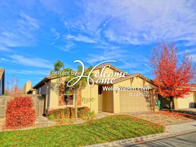 Building Photo - 481 Miesque Ct