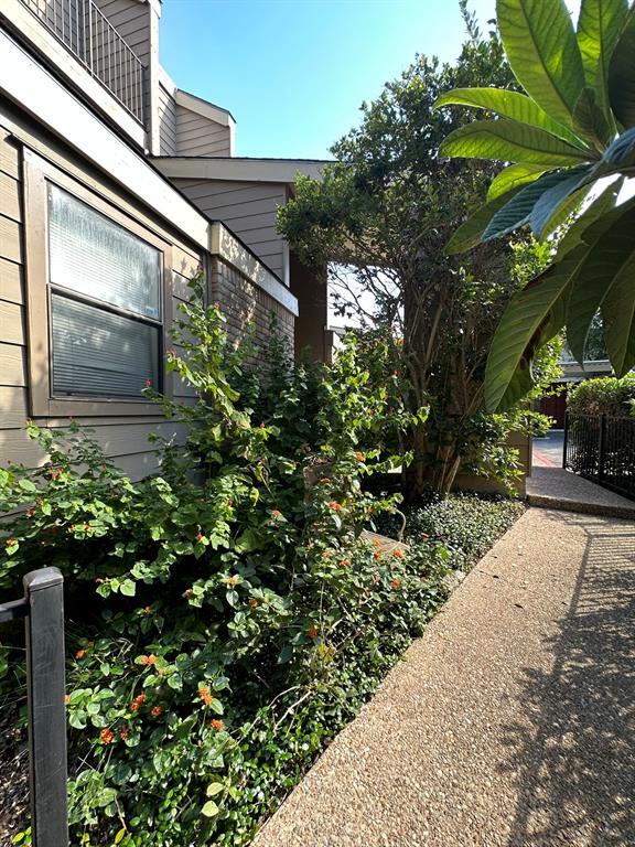 1135 Barton Hills Dr Unit 262, Austin, TX 78704 Condo for Rent in Austin, TX