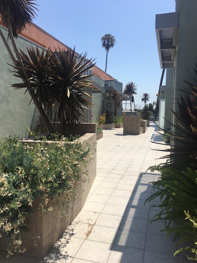Primary Photo - 3107 Santa Monica Blvd