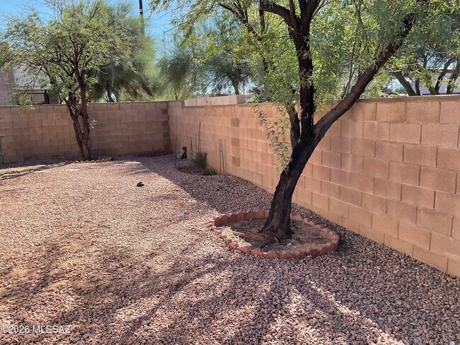 Foto del edificio - 3640 N Mountain Ave