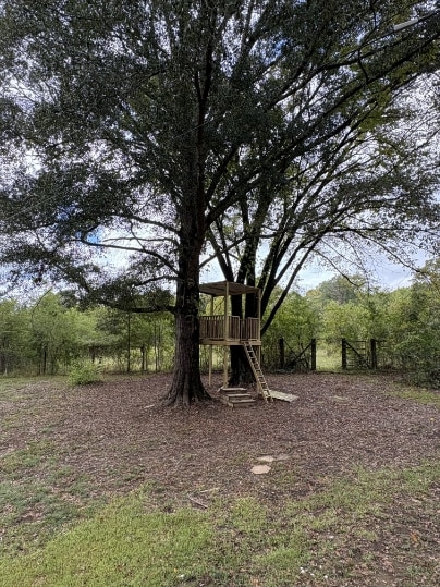 Building Photo - 188 Co Rd 198