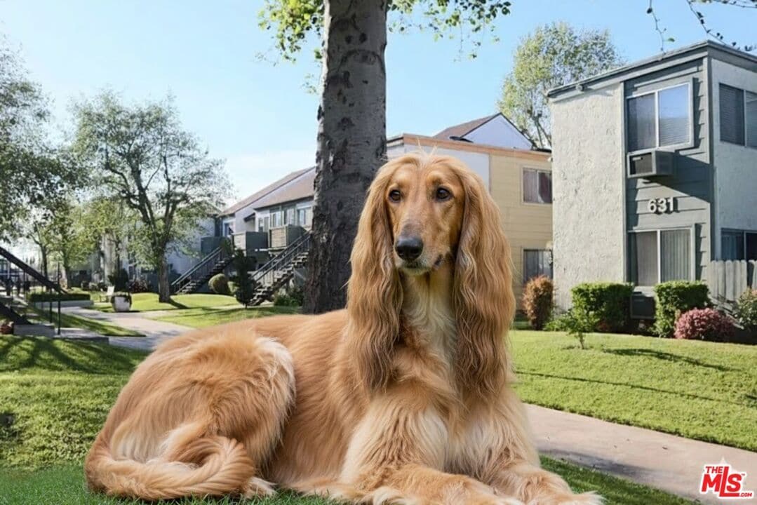 Foto principal - 631 N Bristol St