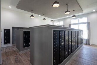 Prose Copperfield photo'