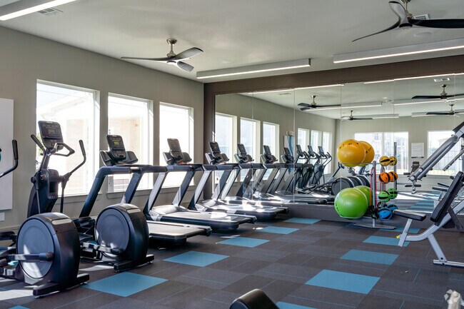 Gimnasio - Thrive Almeda Genoa - NEW