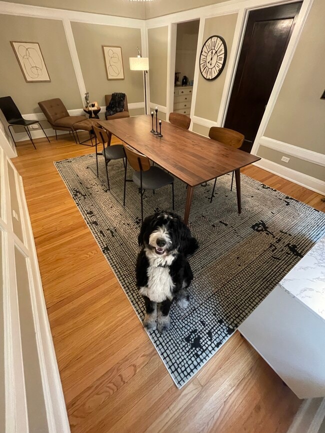 Dining Room - 1522 W Thorndale Ave