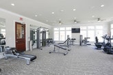This fitness center is designed to provide a bright, welcoming, and fully equipped workout environment. The space is bathed in natural light, courtesy of expansive floor-to-ceiling windows that line the walls and offer views of the surrounding outdoor pool area and community buildings, creating an open and airy atmosphere during every workout session.

The cardio section is impressively stocked with a full row of TRUE-brand treadmills, elliptical trainers, stationary bikes, and a rowing machine, each equipped with individual screen displays. Ceiling fans are mounted overhead, ensuring comfortable air circulation throughout.

On the strength training side, the space features a multi-station cable and pulley machine, a dedicated free weights area with a dumbbell rack, adjustable benches, and additional resistance machines. Full-length mirrors line the walls of the strength zone, enhancing the sense of space and allowing users to monitor their form during exercises.

The flooring throughout consists of durable, neutral-toned carpet with textured patterning suited for a high-traffic fitness environment. Recessed lighting complements the natural light from the windows. A wall-mounted flat-screen television is positioned for viewing from the cardio equipment area. The overall design is clean, modern, and functional, making this fitness center a standout amenity.