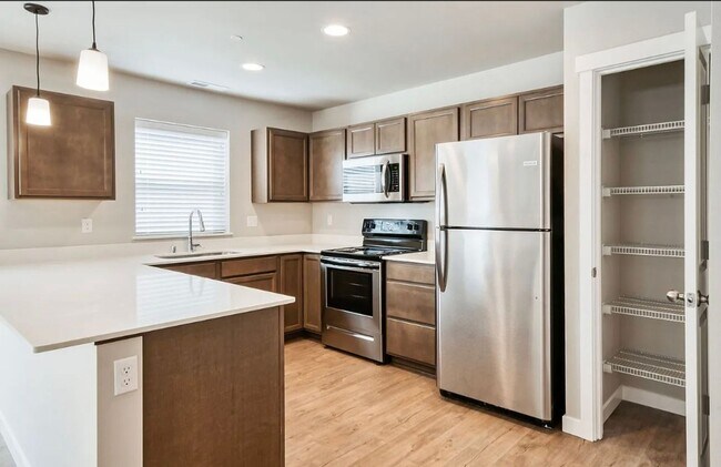 Building Photo - Newly Built 4bd 2.5ba in LSSD