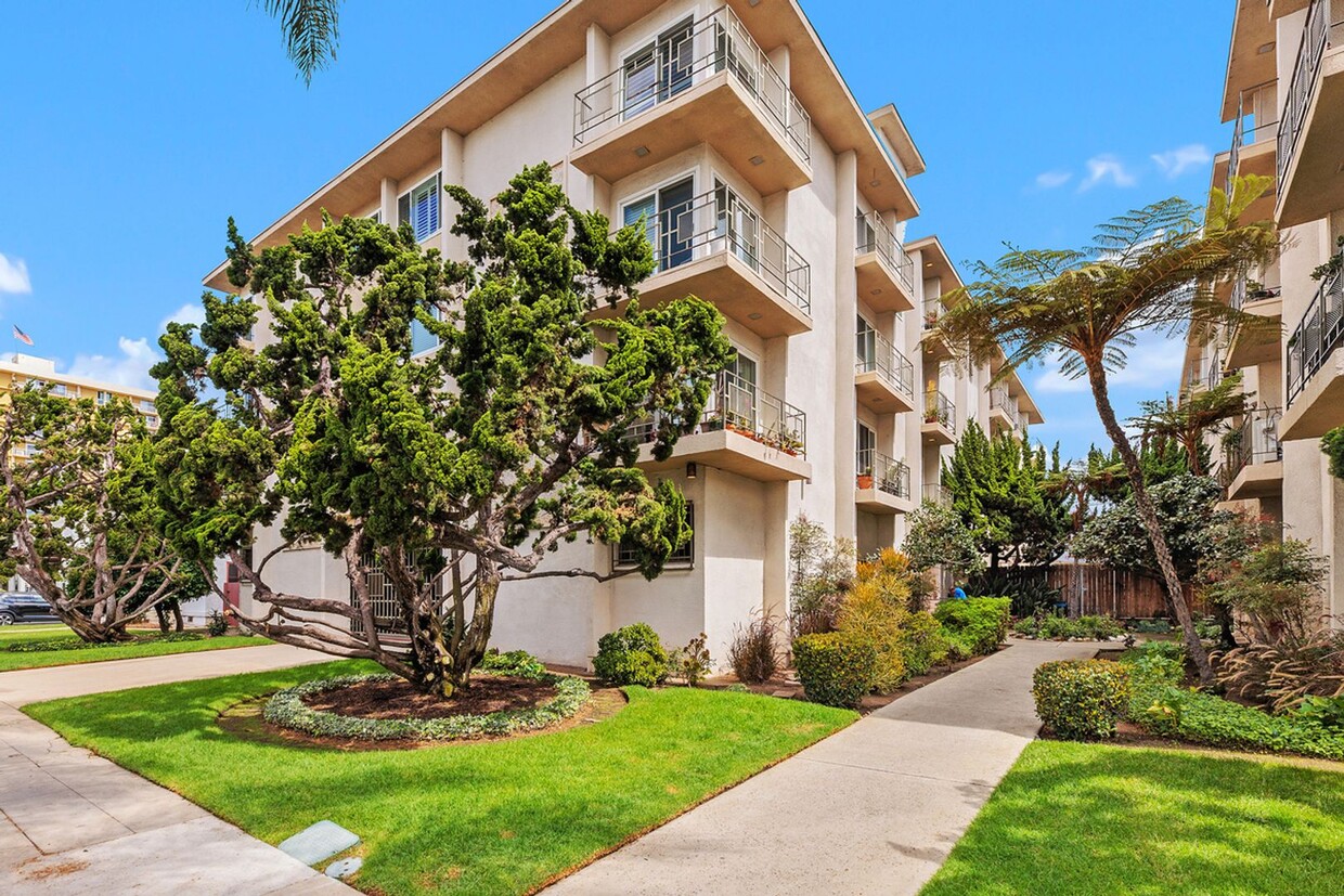 Primary Photo - Beautiful & Spacious 1BD/1BA Condo - Walk ...