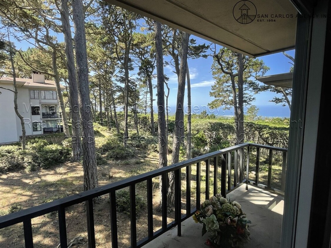 Primary Photo - Two Bed, Two Bath Condo with Views in Pebb...